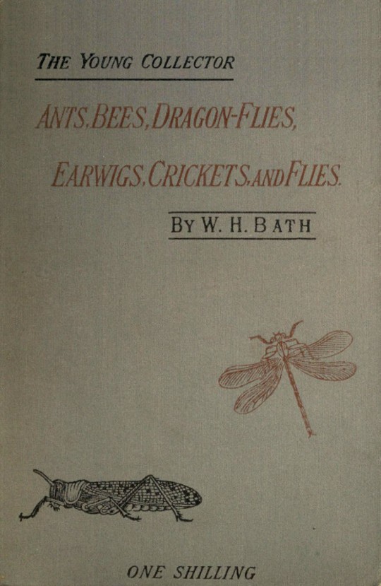 The Young Collector's Handbook of Ants, Bees, Dragon-flies, Earwigs, Crickets, and Flies Hymenoptera, Neuroptera, Orthoptera, Hemiptera, Diptera.