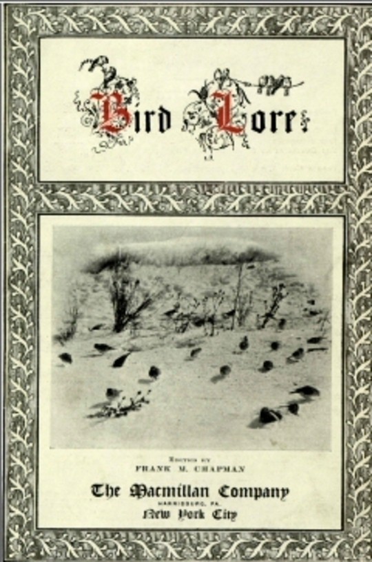 Bird Lore, Volume I—1899