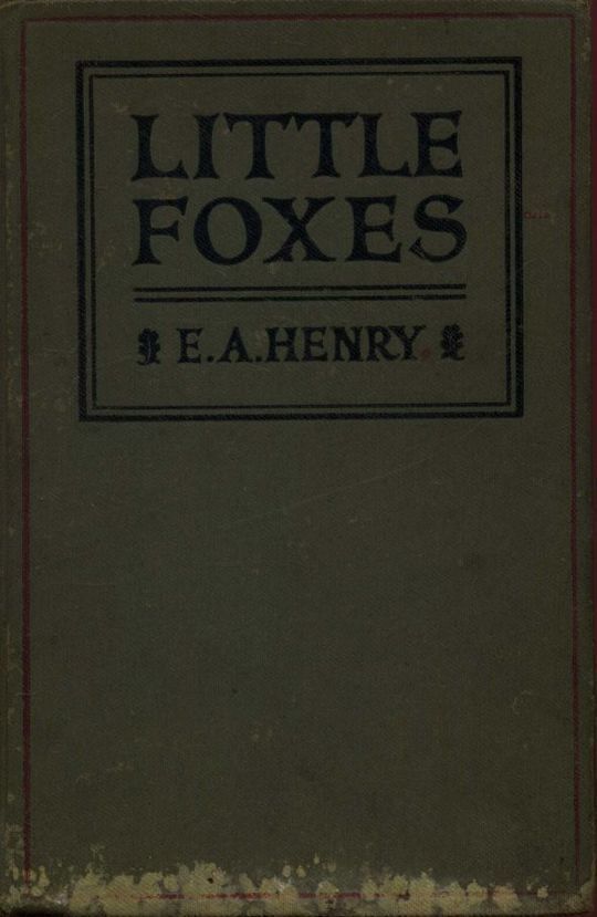 Little Foxes Stories for Boys and Girls