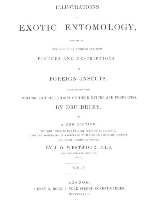 Illustrations of Exotic Entomology, Volume 1