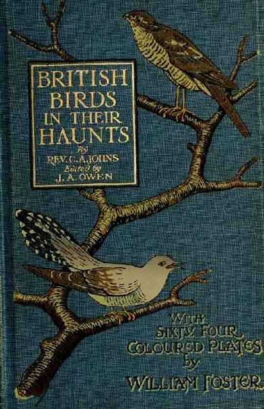 British Birds in their Haunts