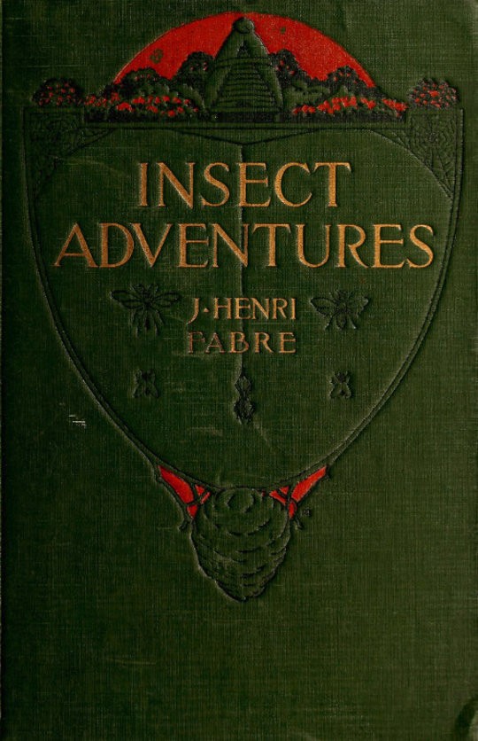 Insect Adventures