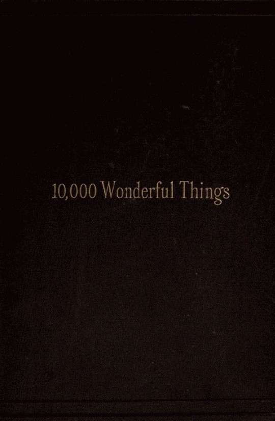 Ten Thousand Wonderful Things