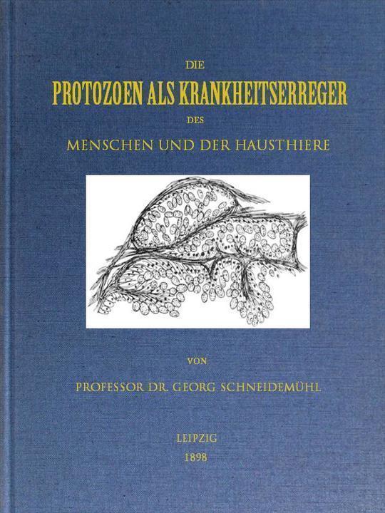 Die Protozoen als Krankheitserreger des Menschen und der Hausthiere Für Ärzte, Thierärzte und Zoologen