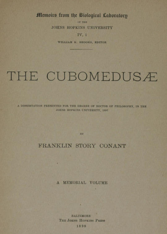 The Cubomedusæ