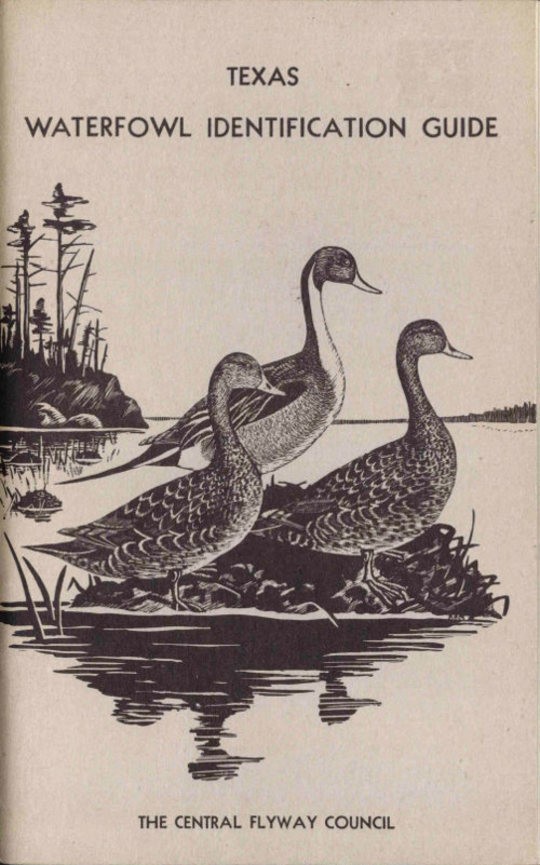 Texas Waterfowl Identification Guide