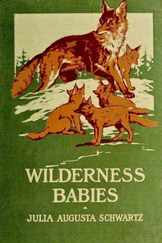 Wilderness Babies