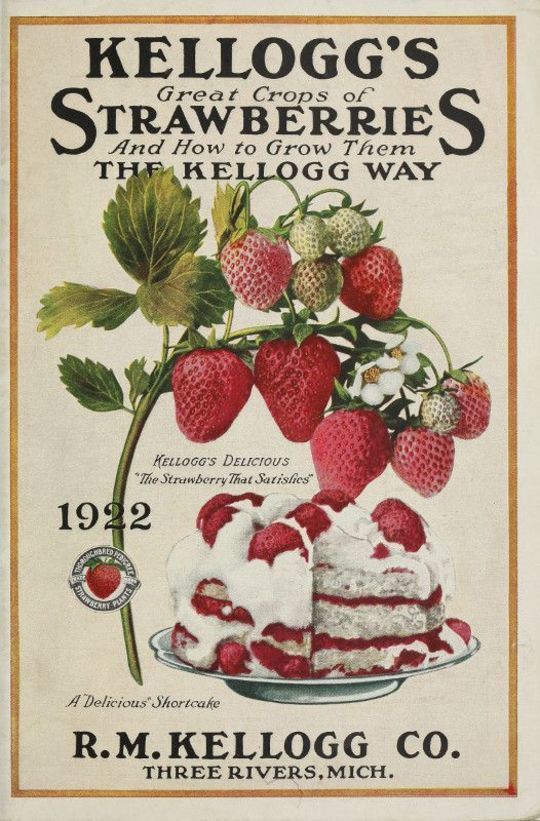 Kellogg's Great Crops of Strawberries
And How to Grow Them The Kellogg Way