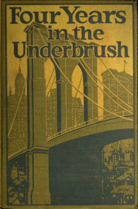 Four Years in the Underbrush
Adventures as a Working Woman in New York