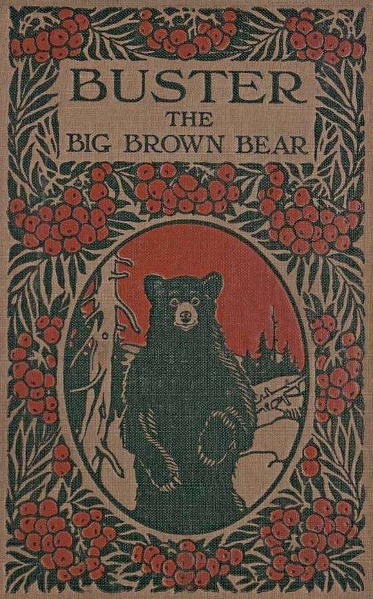 Buster
The Big Brown Bear