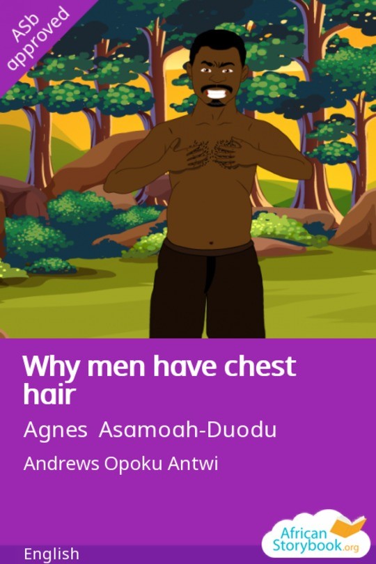 Why men have chest hair