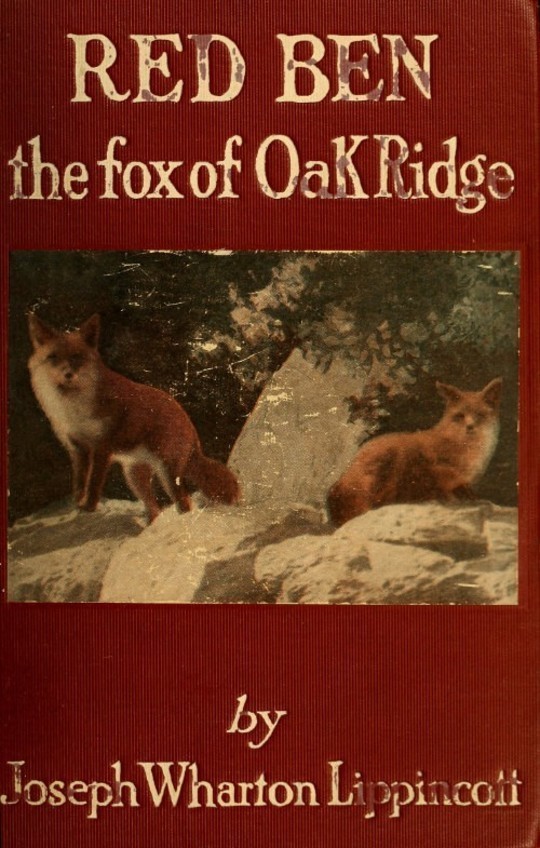 Red Ben
the fox of Oak Ridge