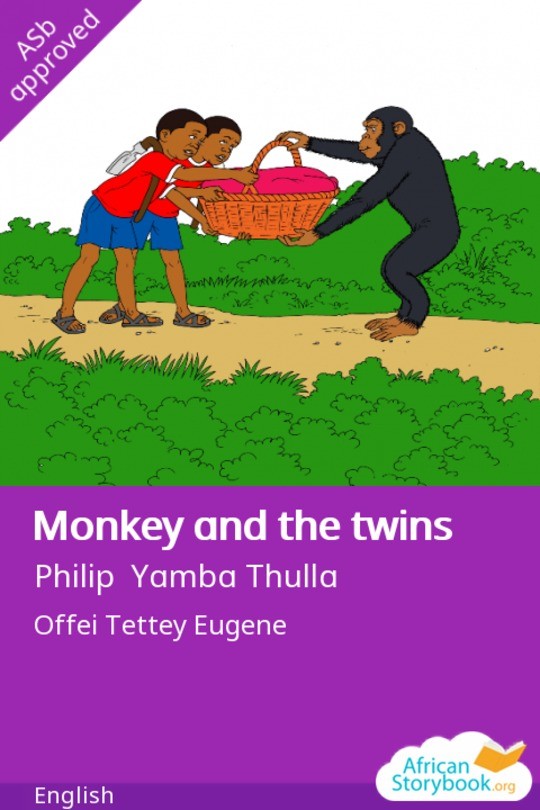 Monkey and the twins