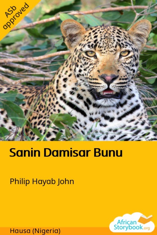 Sanin Damisar Bunu