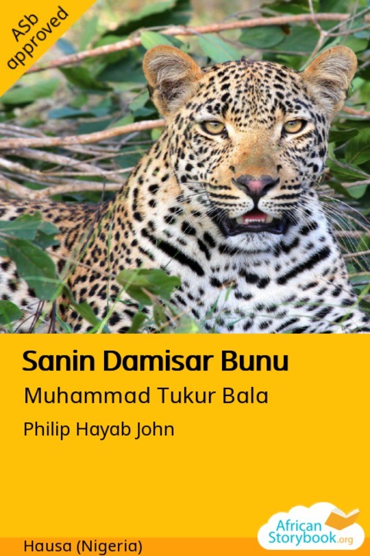 Sanin Damisar Bunu