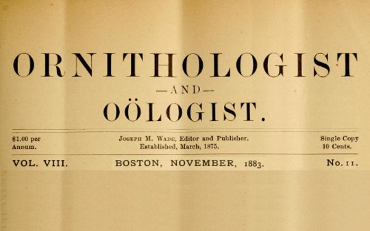 The Ornithologist and Oölogist. Vol. VIII, No. 11, November, 1883
Birds: Their Nests and Eggs