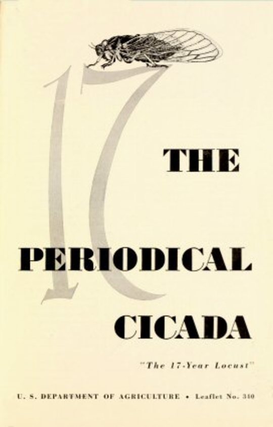 The Periodical Cicada
The 17-year Locust