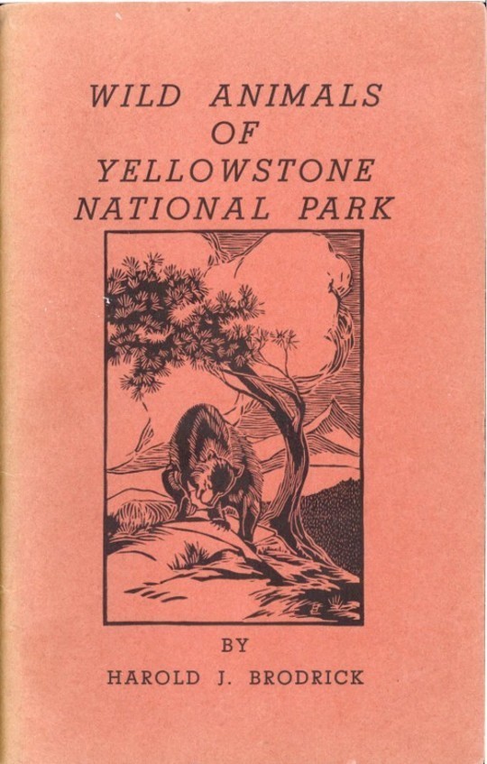 Wild Animals of Yellowstone National Park
Yellowstone Interpretive Series Number 1