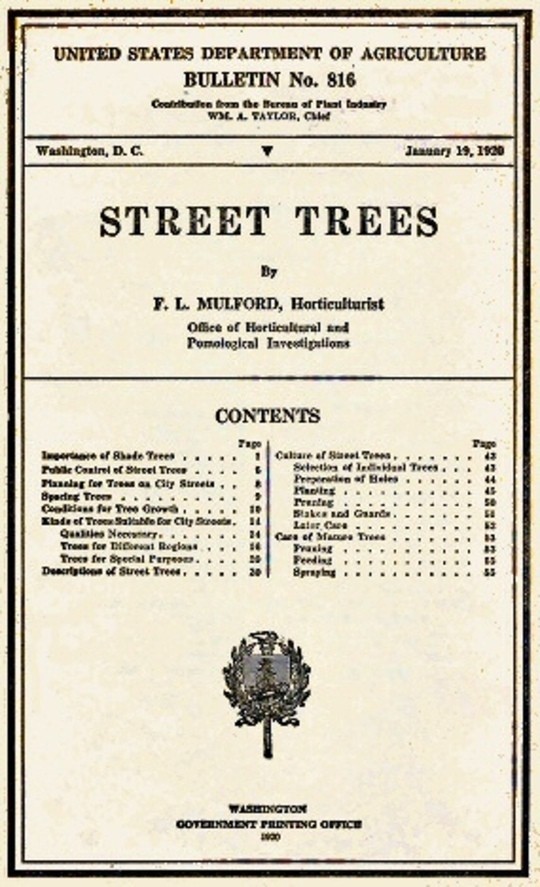 USDA Bulletin No. 816 / Street Trees