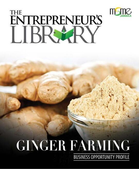 Business Opportunity Profile - Ginger Farming
