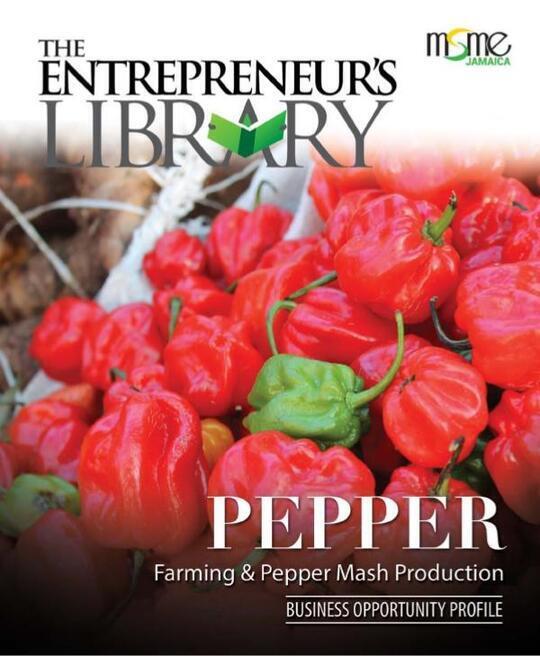 Business Opportunity Profile - Pepper Farming