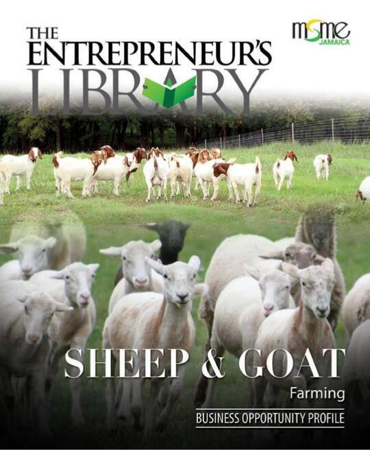 Business Opportunity Profile - Sheep & Goat